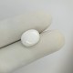 White Coral (Safed Moonga) 5.3 Ct Best Quality White Coral (Safed Moonga) 5.3 Ct Best Quality